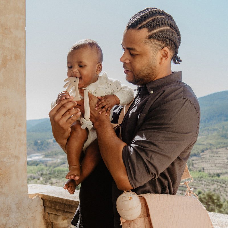 Suavinex Gift Set for Newborn Baby 0-6 months Butterfly Shape Pacifiers, Fabric Ribbon Clip, Duo Pacifier Holder & Bunny Teether - Blue