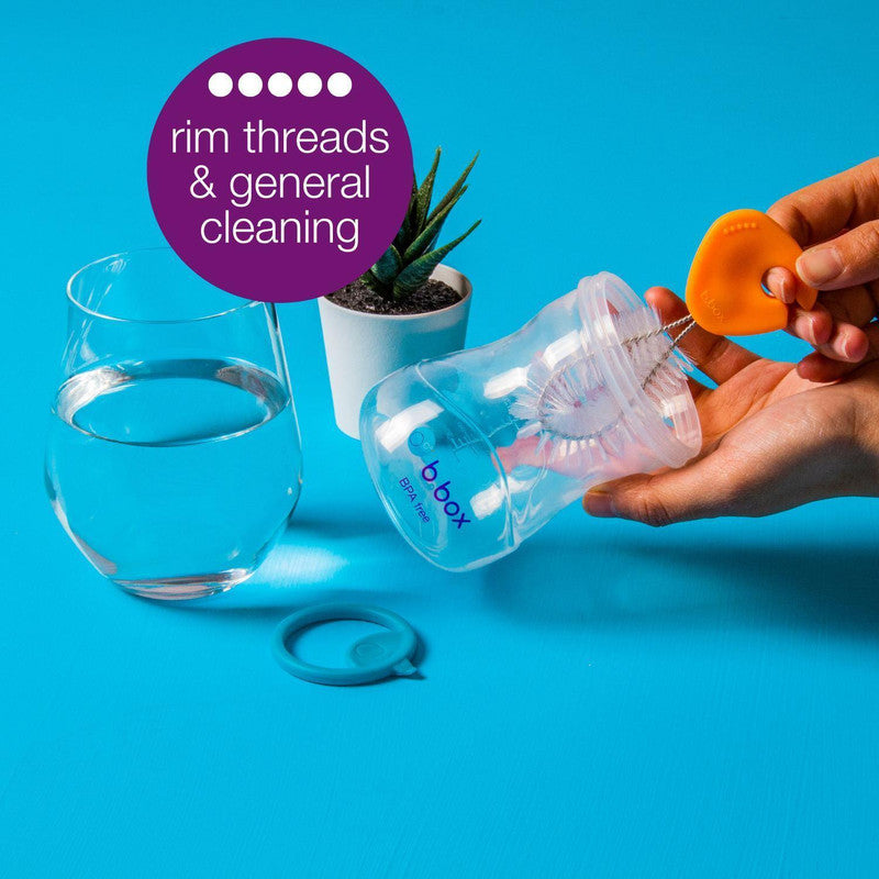 b.box Cleaning Brush Set of 5 Brushes for Sippy Cups, Water Bottles, Bottle Teats and Straws | Brushes Clip in and Out | All on One Handy Ring | Multi Color