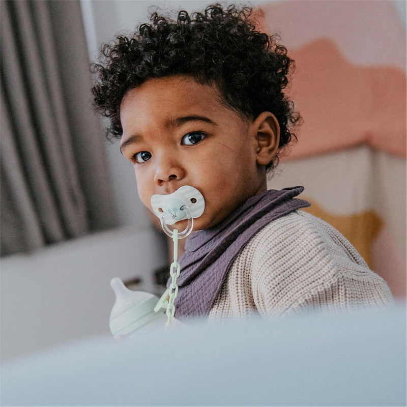 Suavinex, Pack of 2 Pacifiers for Babies +18 Months, with Physiological Silicone Teat SX Pro Symmetrical, Flat and Flexible, Respects Oral Development, Birdies Green