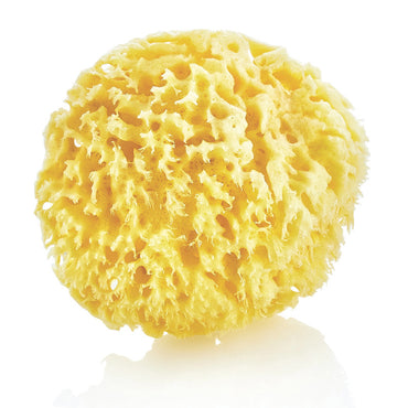 babyjem-natural-sea-sponge-naturel