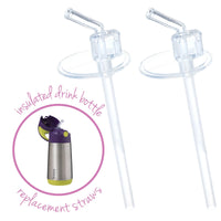 B.Box Insulated Drink Bottle Straw Pack_2
