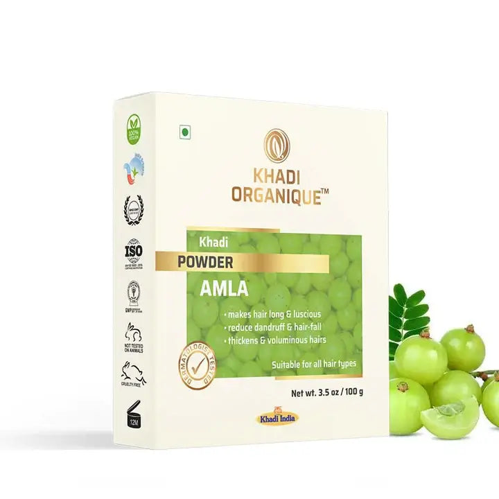  Khadi Organique Organic Amla Powder 100g